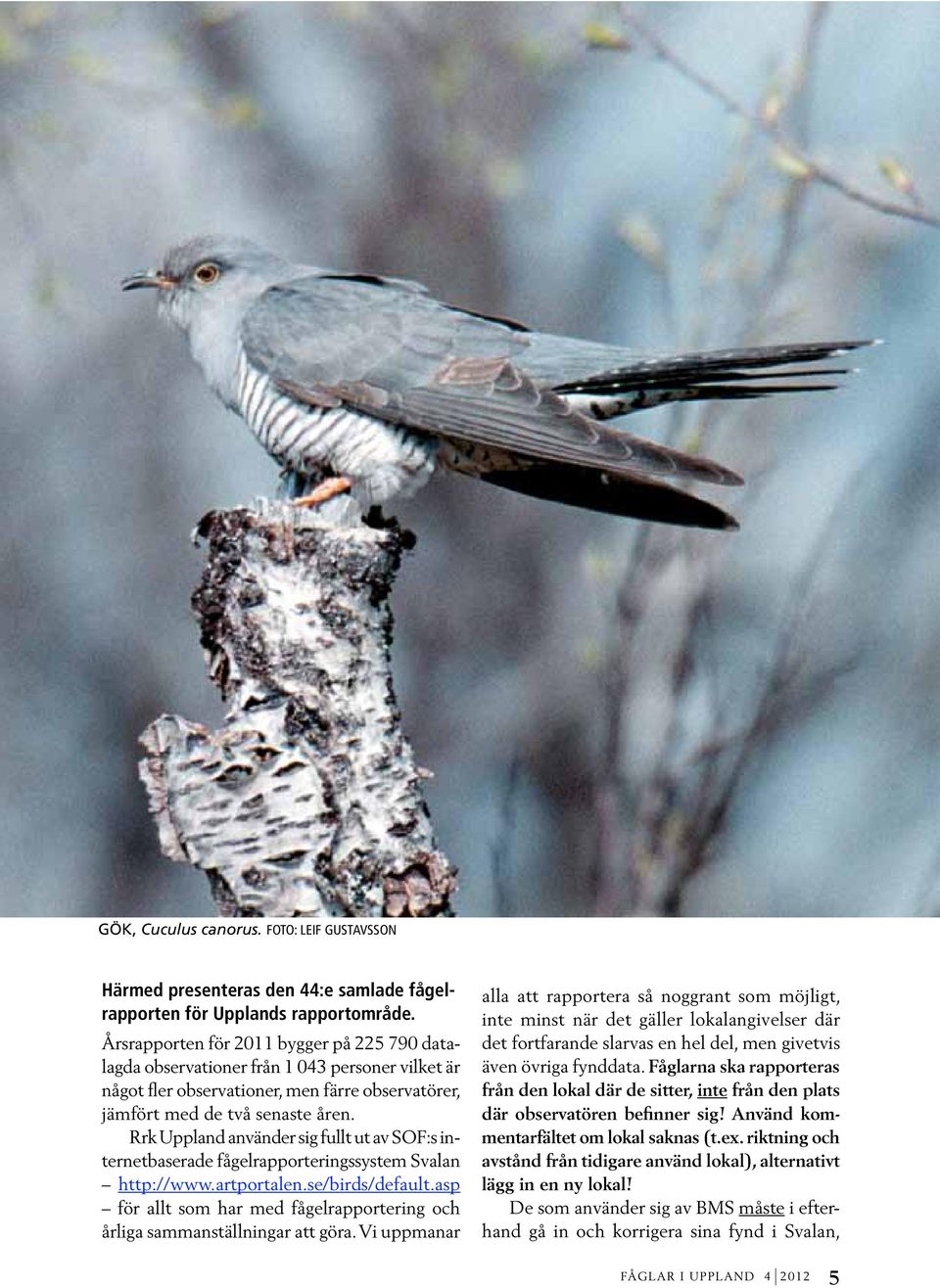 Rrk Uppland använder sig fullt ut av SOF:s internetbaserade fågelrapporteringssystem Svalan http://www.artportalen.se/birds/default.