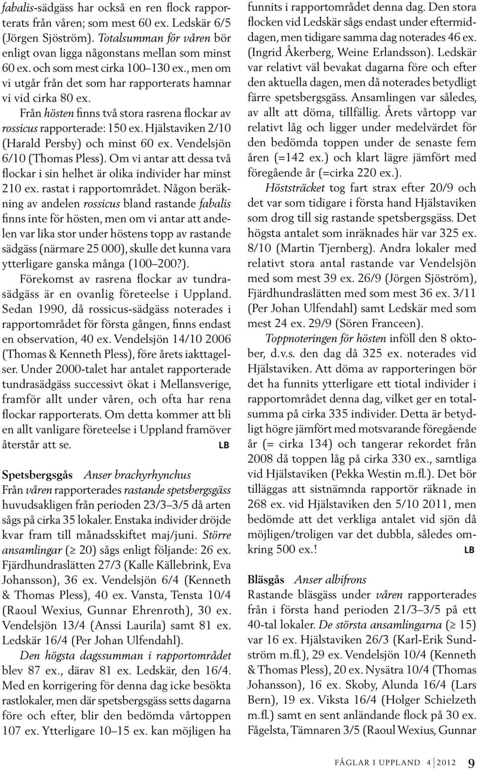 Hjälstaviken 2/10 (Harald Persby) och minst 60 ex. Vendelsjön 6/10 (Thomas Pless). Om vi antar att dessa två flockar i sin helhet är olika individer har minst 210 ex. rastat i rapportområdet.