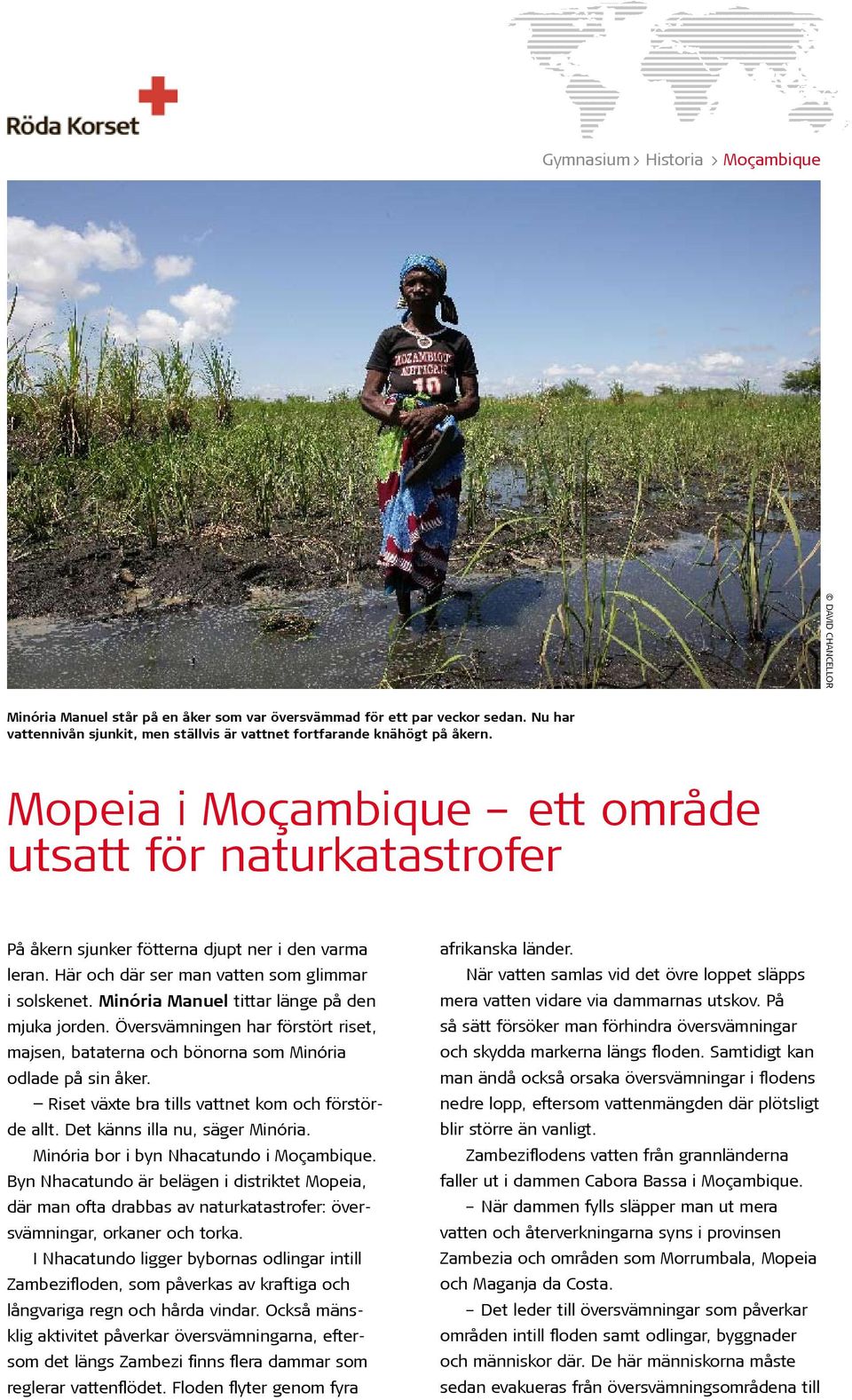 Minória Manuel tittar länge på den mjuka jorden. Översvämningen har förstört riset, majsen, bataterna och bönorna som Minória odlade på sin åker. Riset växte bra tills vattnet kom och förstörde allt.