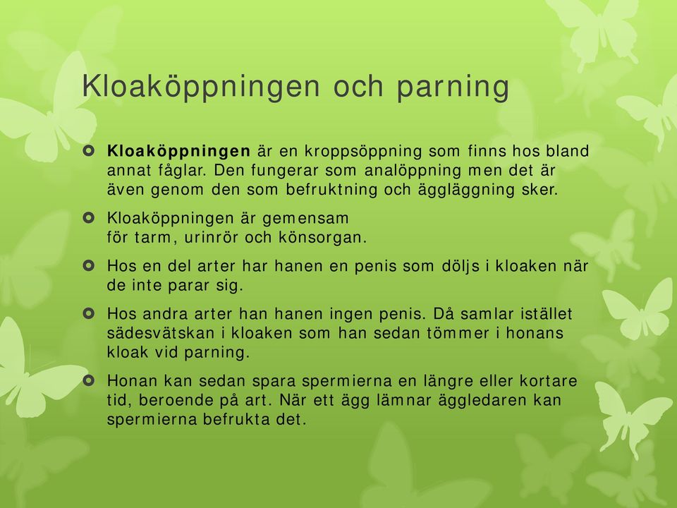 Kloaköppningen är gemensam för tarm, urinrör och könsorgan. Hos en del arter har hanen en penis som döljs i kloaken när de inte parar sig.