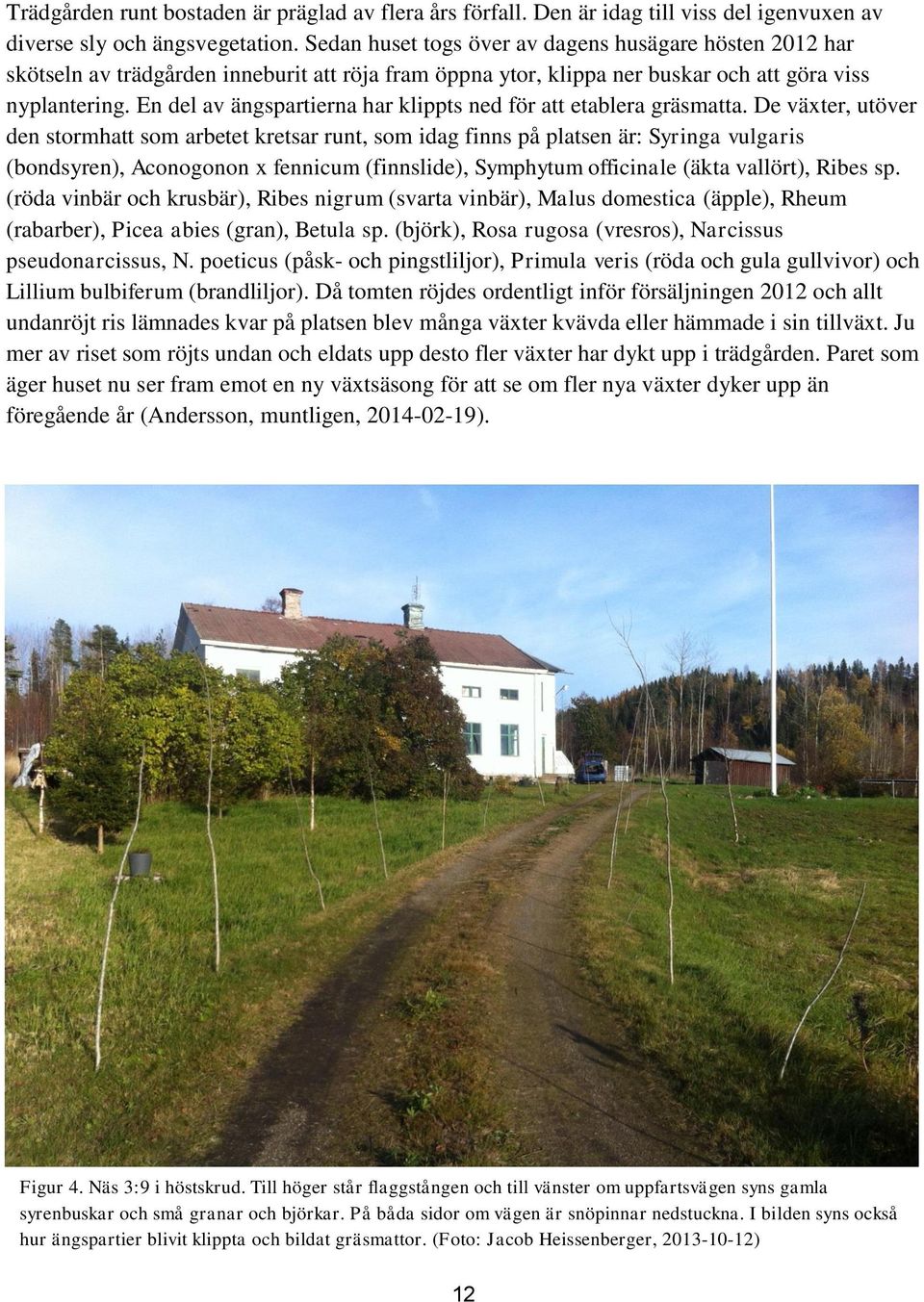 En del av ängspartierna har klippts ned för att etablera gräsmatta.