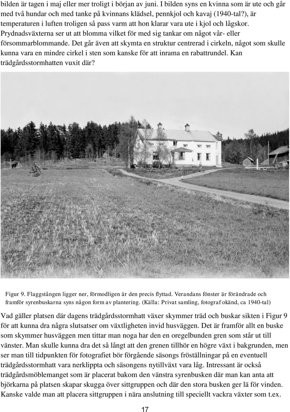 Det går även att skymta en struktur centrerad i cirkeln, något som skulle kunna vara en mindre cirkel i sten som kanske för att inrama en rabattrundel. Kan trädgårdsstormhatten vuxit där? Figur 9.