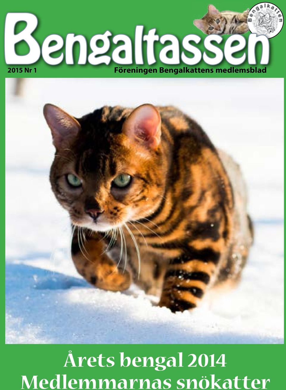 medlemsblad Årets bengal