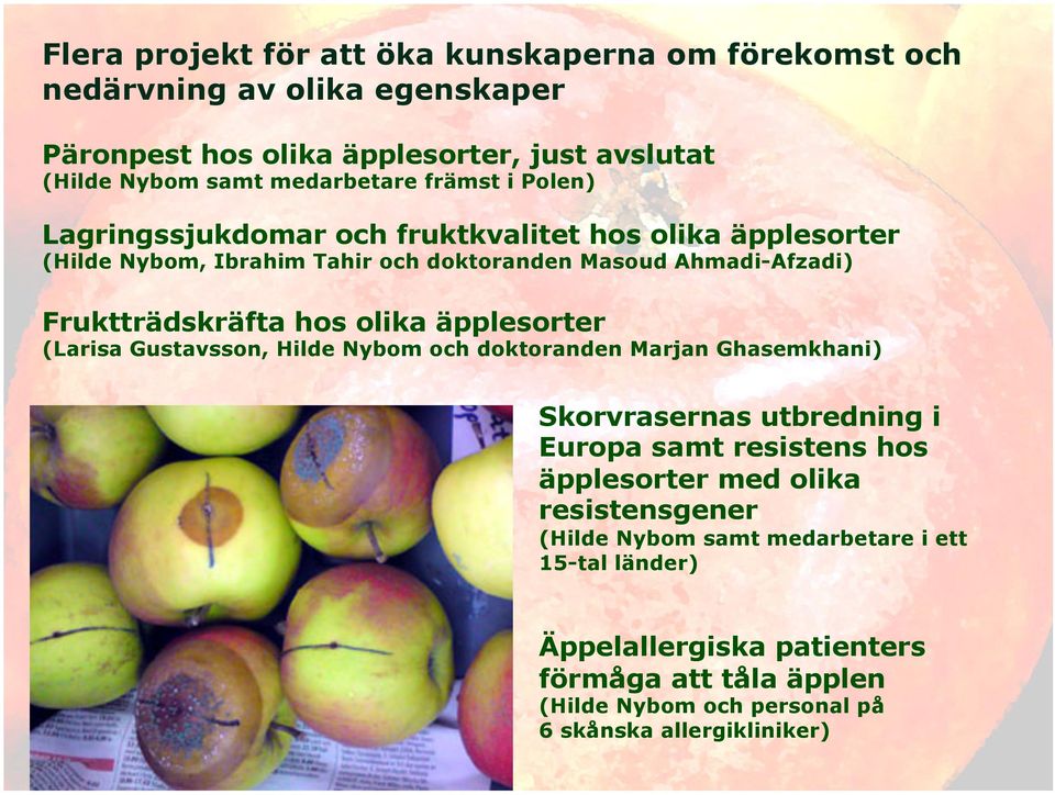 olika äpplesorter (Larisa Gustavsson, Hilde Nybom och doktoranden Marjan Ghasemkhani) Skorvrasernas utbredning i Europa samt resistens hos äpplesorter med olika