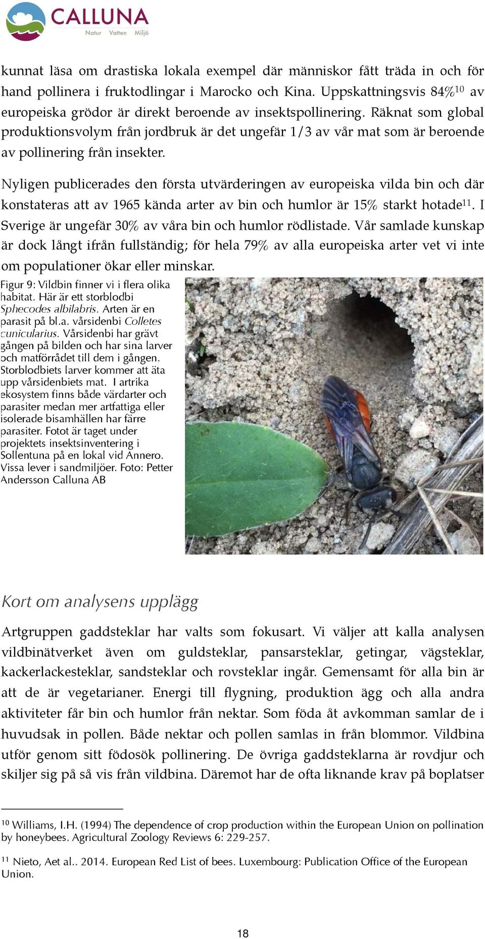 Räknat som global produktionsvolym från jordbruk är det ungefär 1/3 av vår mat som är beroende av pollinering från insekter.