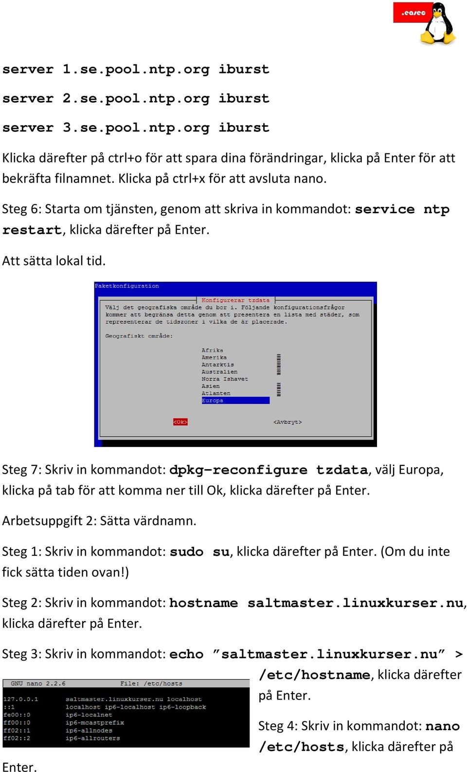 Steg 7: Skriv in kommandot: dpkg-reconfigure tzdata, välj Europa, klicka på tab för att komma ner till Ok, klicka Arbetsuppgift 2: Sätta värdnamn.