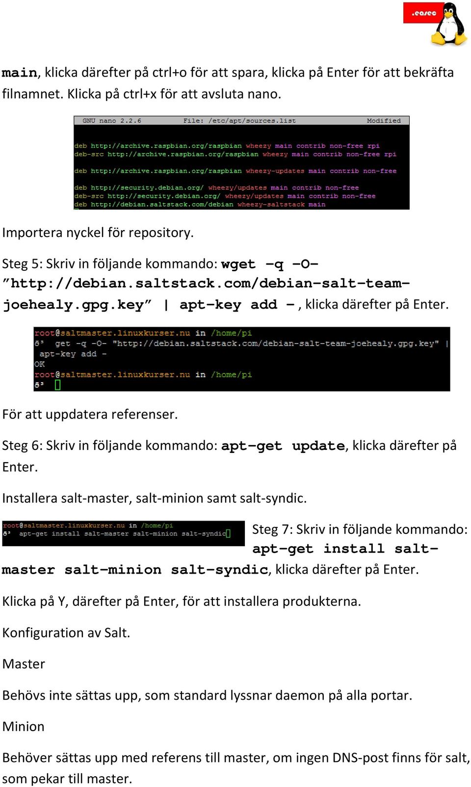 Steg 6: Skriv in följande kommando: apt-get update, klicka därefter på Installera salt-master, salt-minion samt salt-syndic.