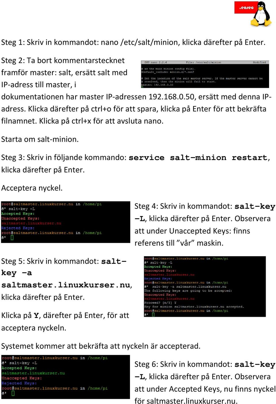 Steg 3: Skriv in följande kommando: service salt-minion restart, klicka Acceptera nyckel. Steg 5: Skriv in kommandot: saltkey a saltmaster.linuxkurser.