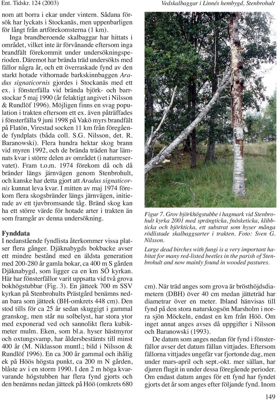 Däremot har brända träd undersökts med fällor några år, och ett överraskade fynd av den starkt hotade vithornade barkskinnbaggen Aradus signaticornis gjordes i Stockanäs med ett ex.