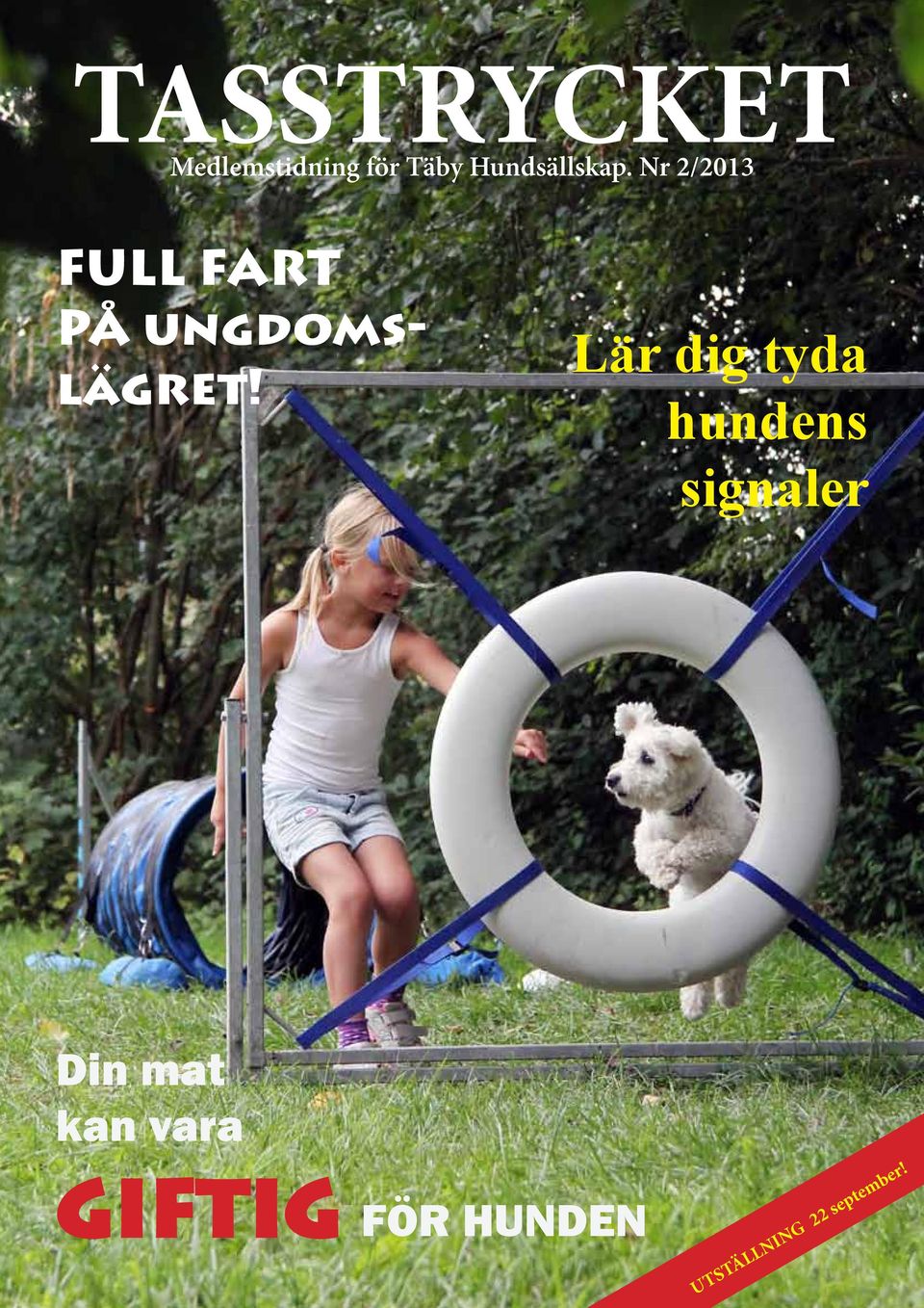 Nr 2/2013 FULL FART PÅ ungdomslägret!