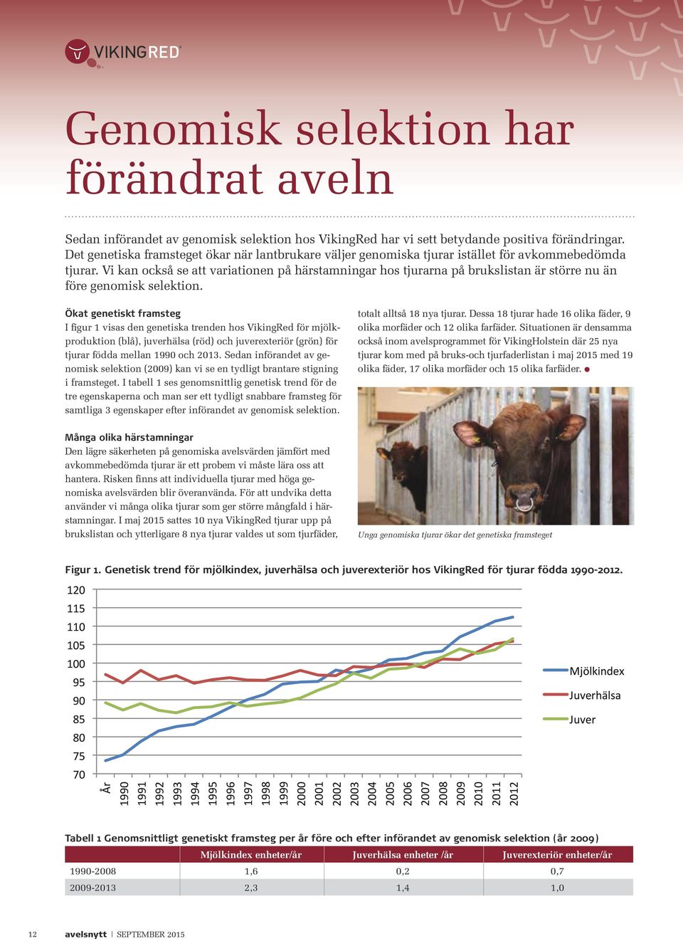 Vi kan också se att variationen på härstamningar hos tjurarna på brukslistan är större nu än före genomisk selektion.