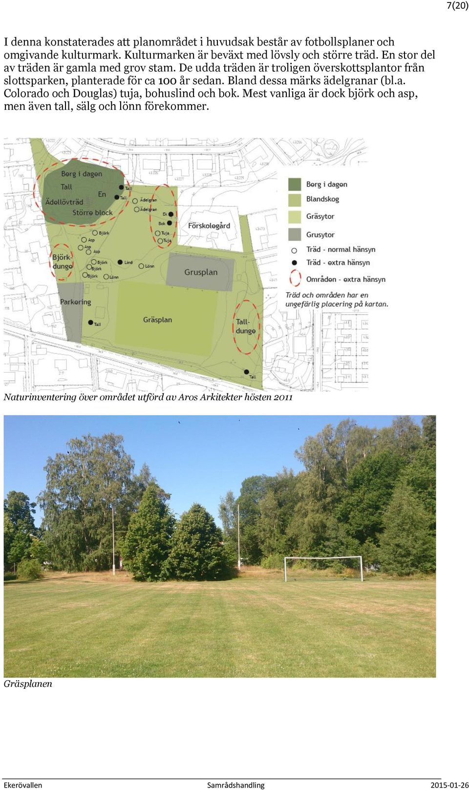 De udda träden är troligen överskottsplantor från slottsparken, planterade för ca 100 år sedan. Bland dessa märks ädelgranar (bl.a. Colorado och Douglas) tuja, bohuslind och bok.