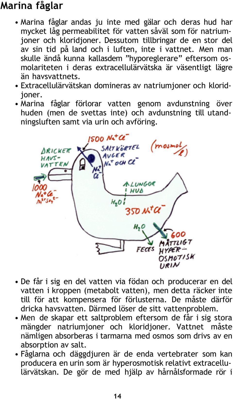 Men man skulle ändå kunna kallasdem hyporeglerare eftersom osmolariteten i deras extracellulärvätska är väsentligt lägre än havsvattnets.