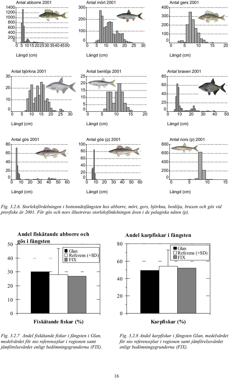 3.2.6. Storleksfördelningen i bottennätsfångsten hos abborre, mört, gers, björkna, benlöja, braxen och gös vid provfiske år 21.