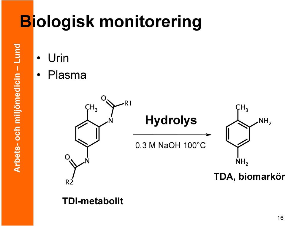 Hydrolys 0.