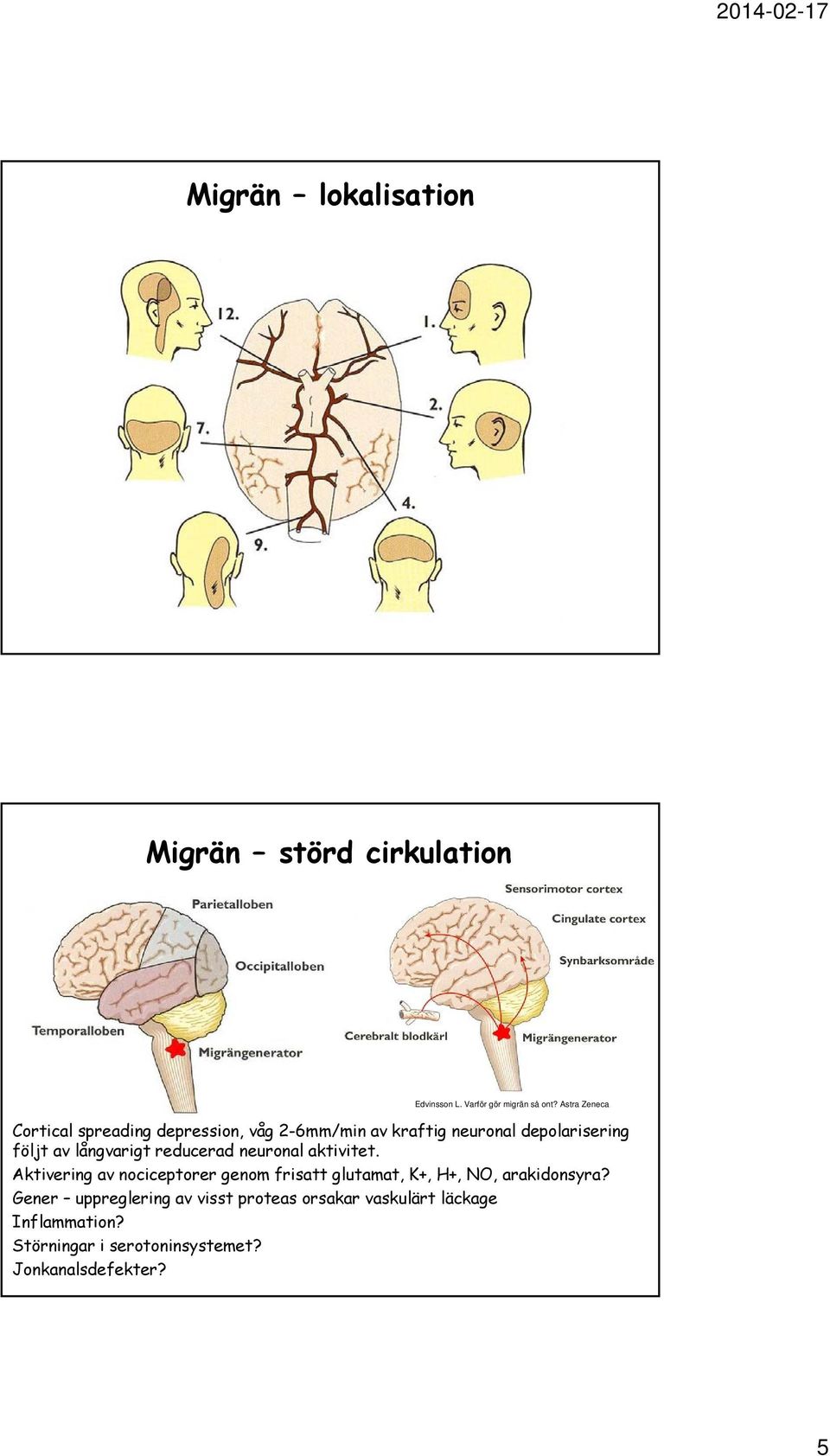 långvarigt reducerad neuronal aktivitet.