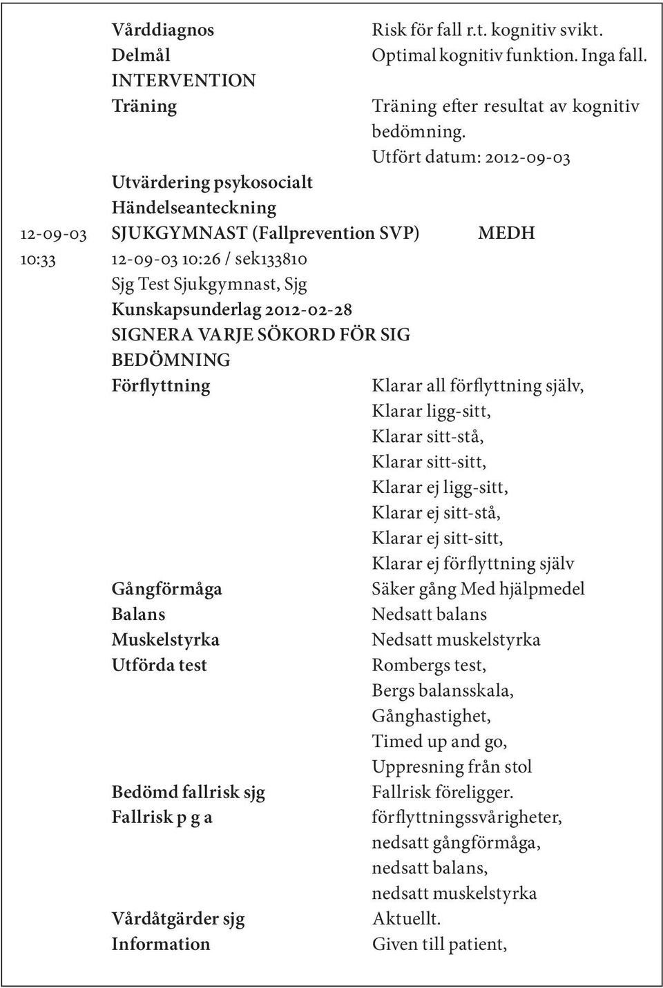 Gångförmåga Balans Muskelstyrka Utförda test Bedömd fallrisk sjg Fallrisk p g a Vårdåtgärder sjg Information Klarar all förflyttning själv, Klarar ligg-sitt, Klarar sitt-stå, Klarar sitt-sitt, Klarar