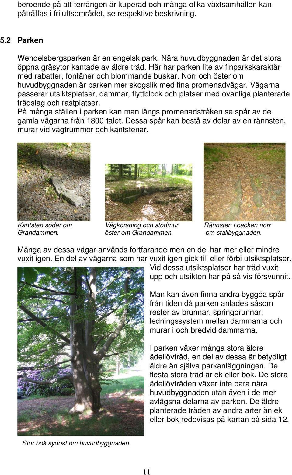 Norr och öster om huvudbyggnaden är parken mer skogslik med fina promenadvägar. Vägarna passerar utsiktsplatser, dammar, flyttblock och platser med ovanliga planterade trädslag och rastplatser.