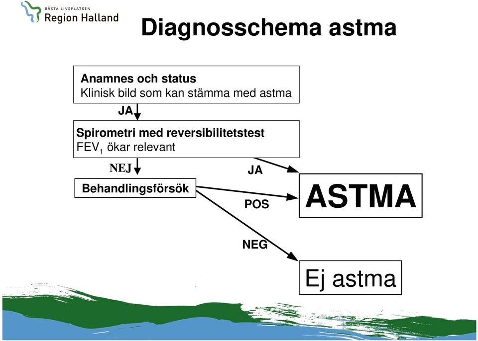 Spirometri med reversibilitetstest FEV 1 ökar