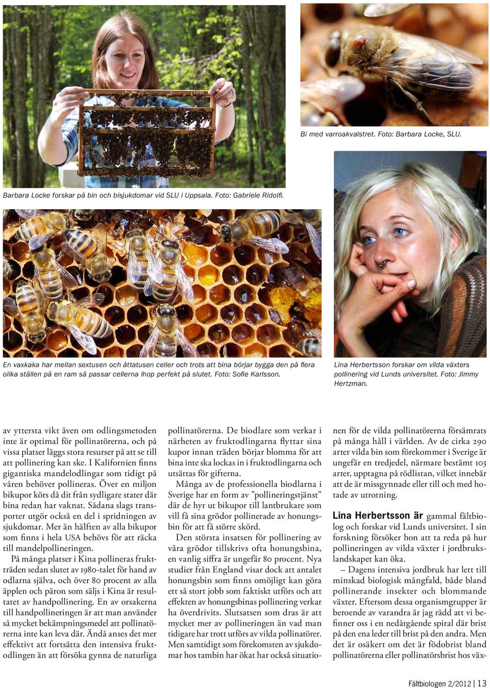 Lina Herbertsson forskar om vilda växters pollinering vid Lunds universitet. Foto: Jimmy Hertzman.