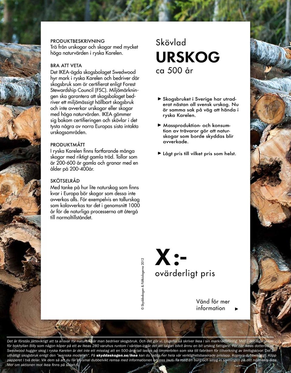 För när Ikeas dotterbolag Swedwood hugger skog i ryska Karelen är det inte ett misstag att en 500-årig tall lastas på timmerbilen som ska till fabriken för tillverkning av limfogskivor.