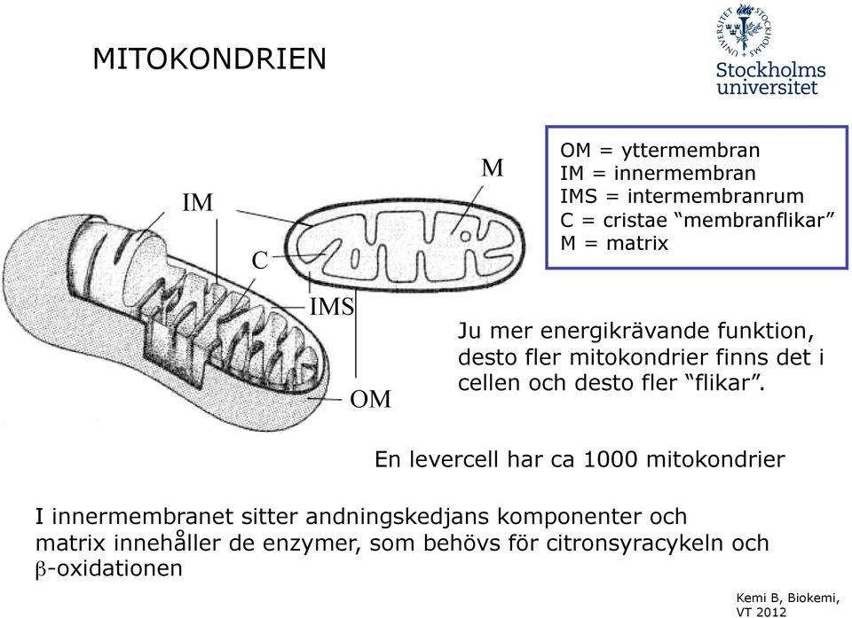 det i cellen och desto fler flikar.