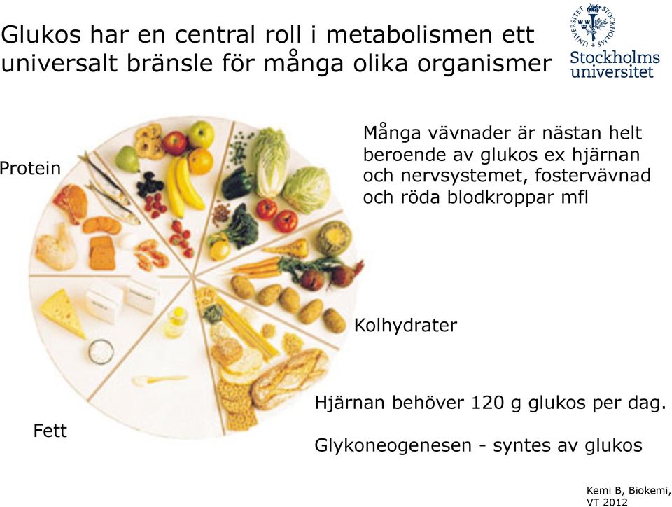 hjärnan och nervsystemet, fostervävnad och röda blodkroppar mfl Kolhydrater