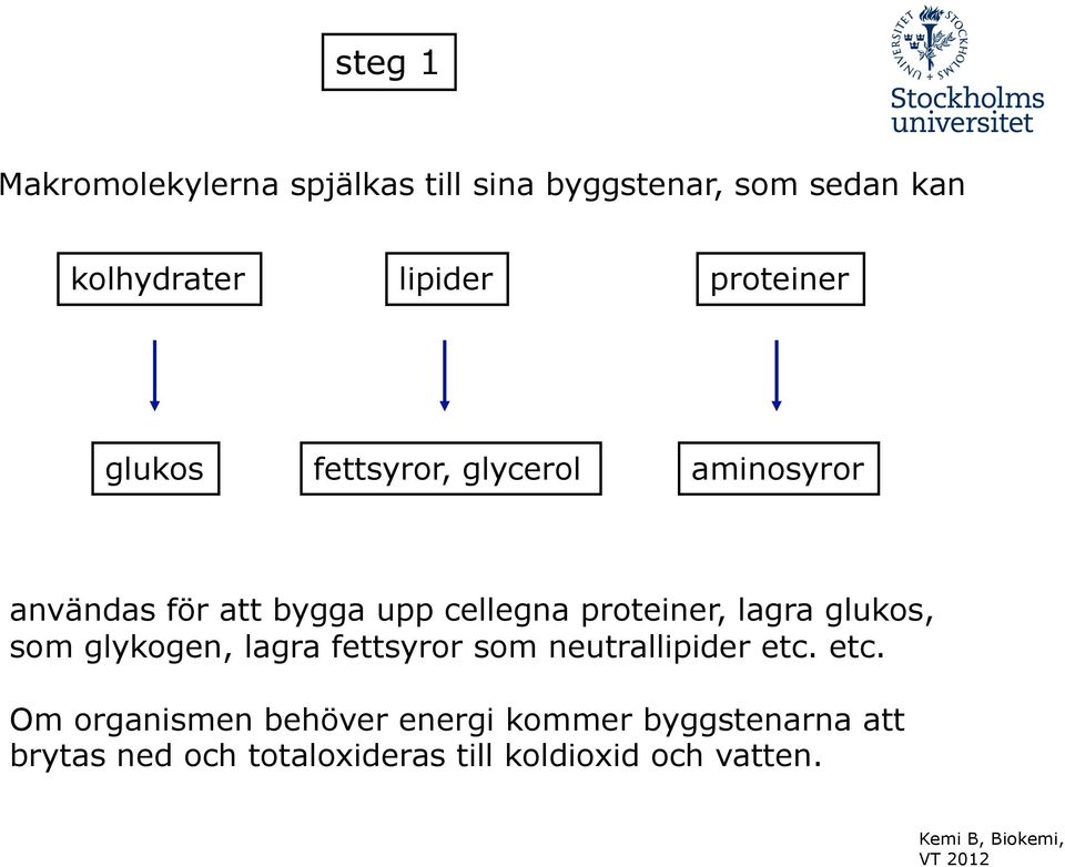 proteiner, lagra glukos, som glykogen, lagra fettsyror som neutrallipider etc.