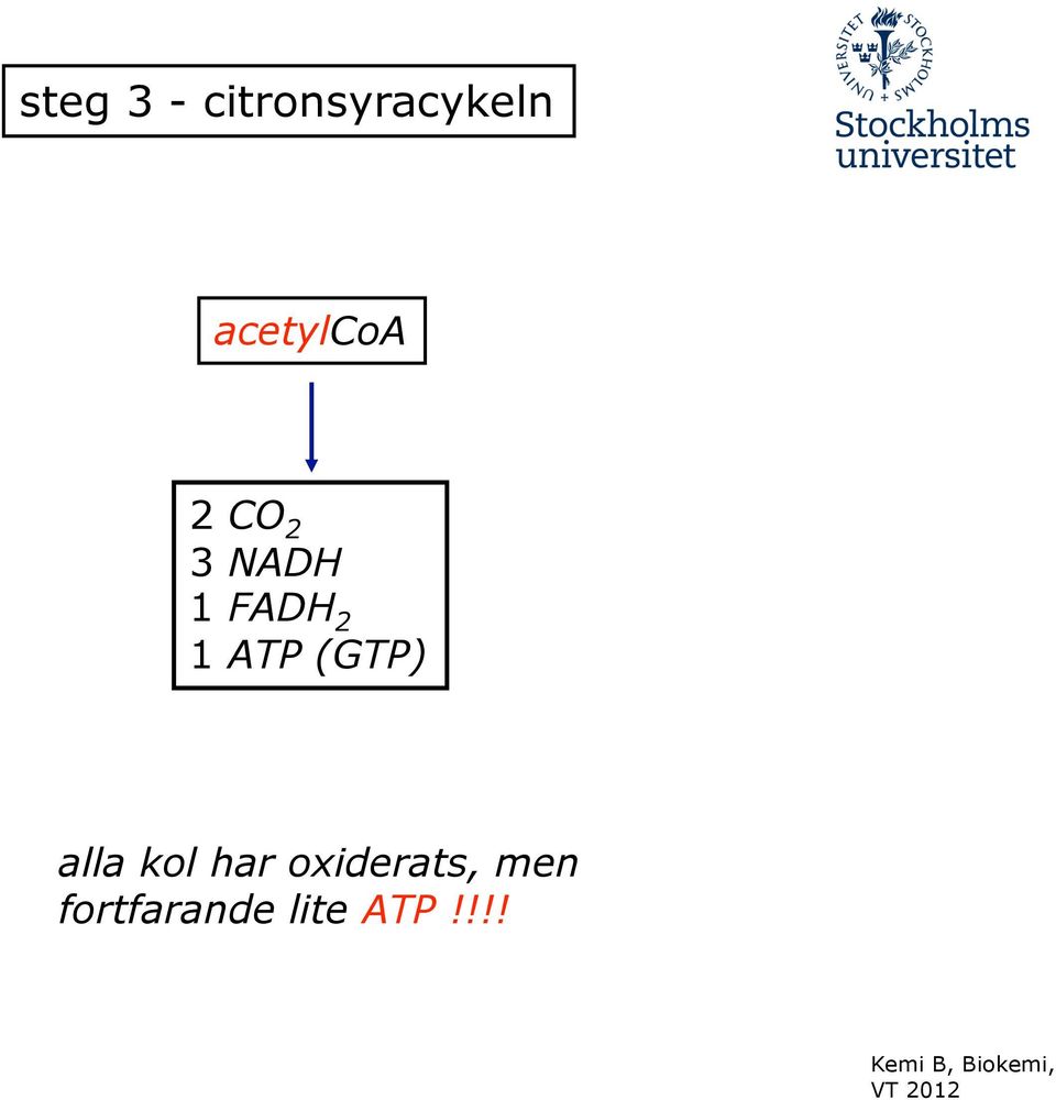 2 1 ATP (GTP) alla kol har