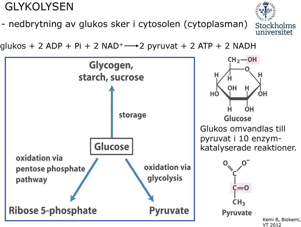 2 NAD + 2 pyruvat + 2 ATP + 2 NADH Glukos