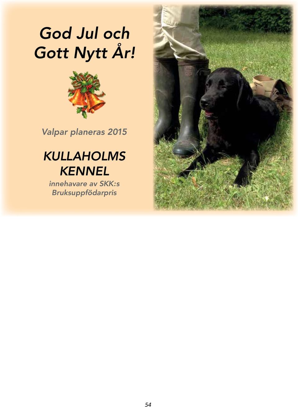 Kullaholms Kennel