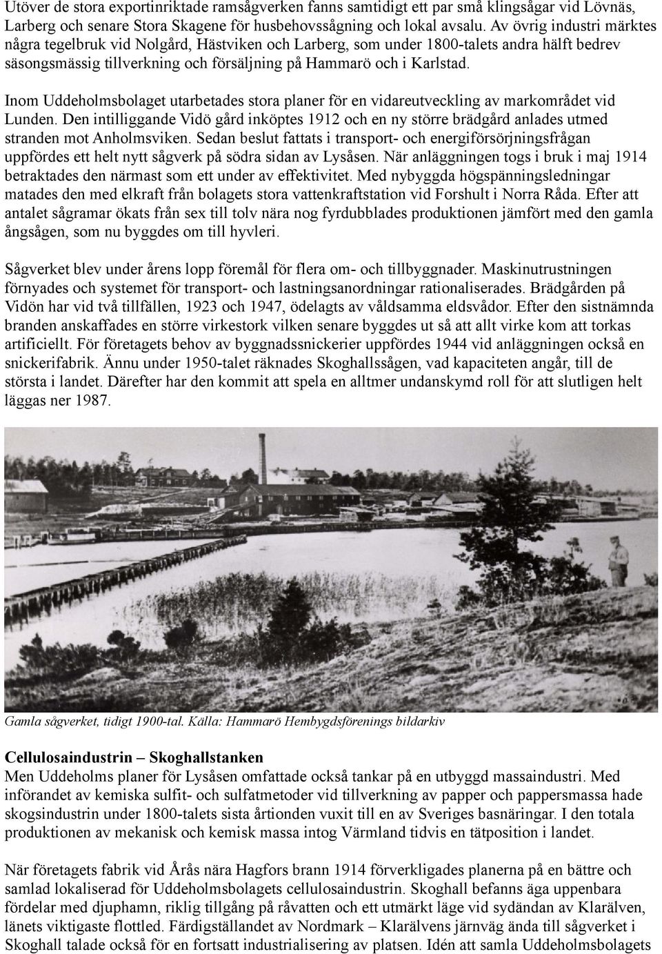 Inom Uddeholmsbolaget utarbetades stora planer för en vidareutveckling av markområdet vid Lunden.