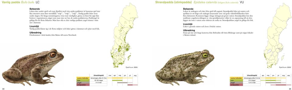 De långa romsträngarna viras runt växtlighet, gärna en liten bit upp från botten i vegetationen, något som man inte ser hos de andra paddarterna. Paddyngel är giftiga för de flesta fiskarter.