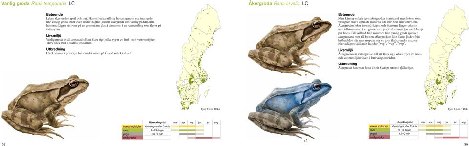 Livsmiljö Vanlig groda är väl anpassad till att klara sig i olika typer av land- och vattenmiljöer. Trivs dock bäst i fiskfria småvatten.