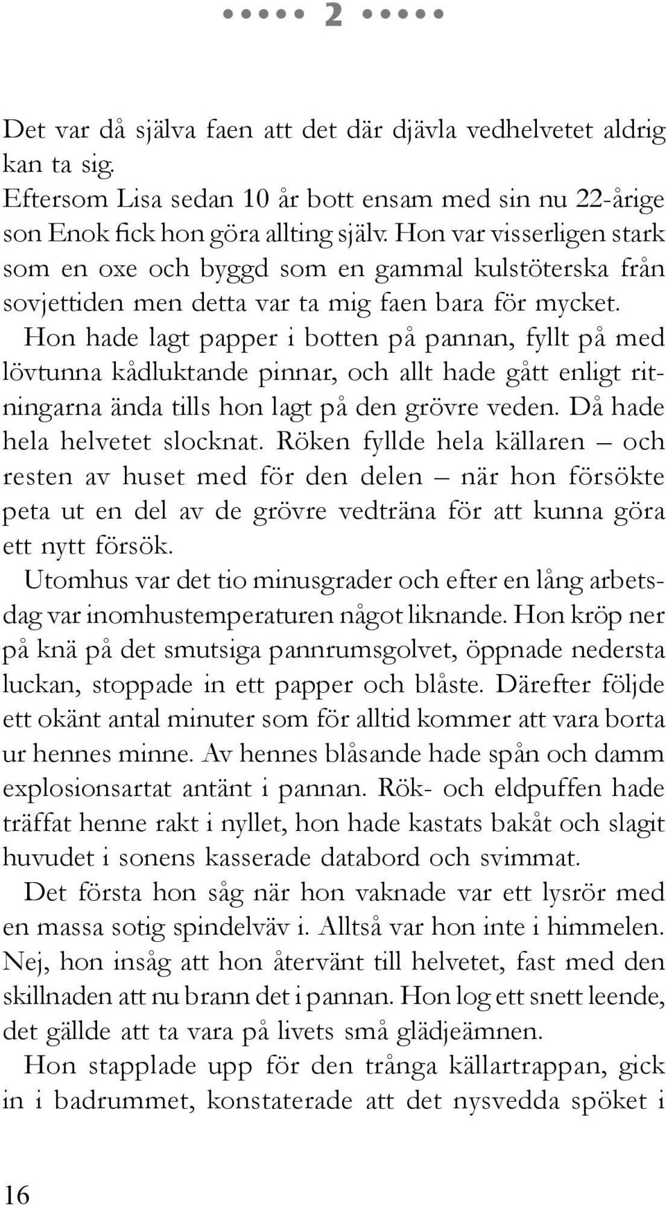 Hon hade lagt papper i botten på pannan, fyllt på med lövtunna kådluktande pinnar, och allt hade gått enligt ritningarna ända tills hon lagt på den grövre veden. Då hade hela helvetet slocknat.