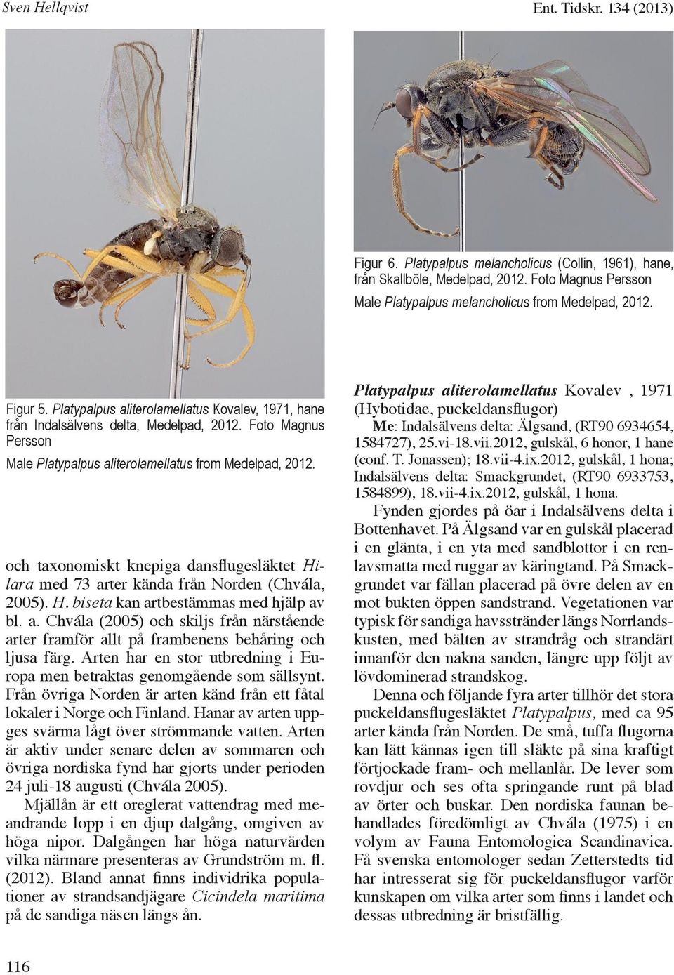 och taxonomiskt knepiga dansflugesläktet Hilara med 73 arter kända från Norden (Chvála, 2005). H. biseta kan artbestämmas med hjälp av bl. a. Chvála (2005) och skiljs från närstående arter framför allt på frambenens behåring och ljusa färg.