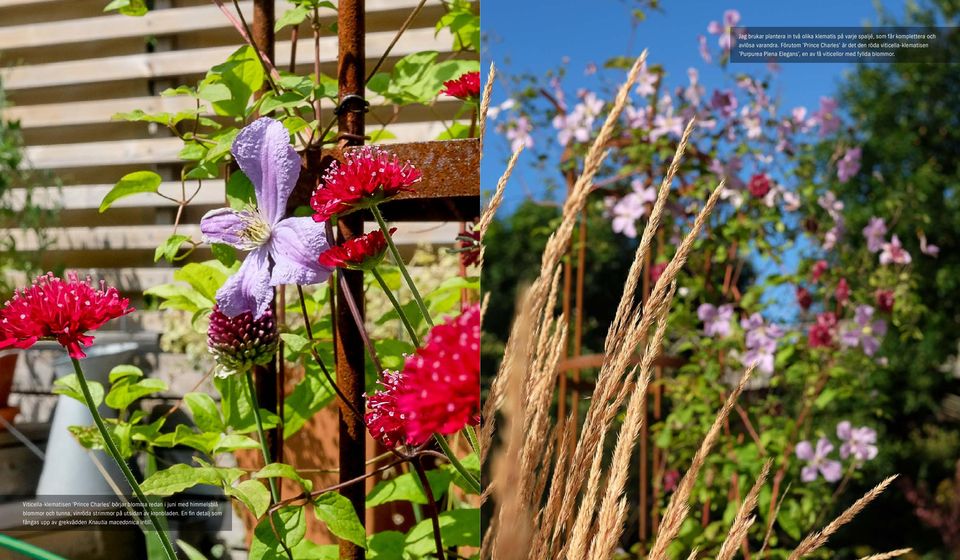 fyllda blommor.