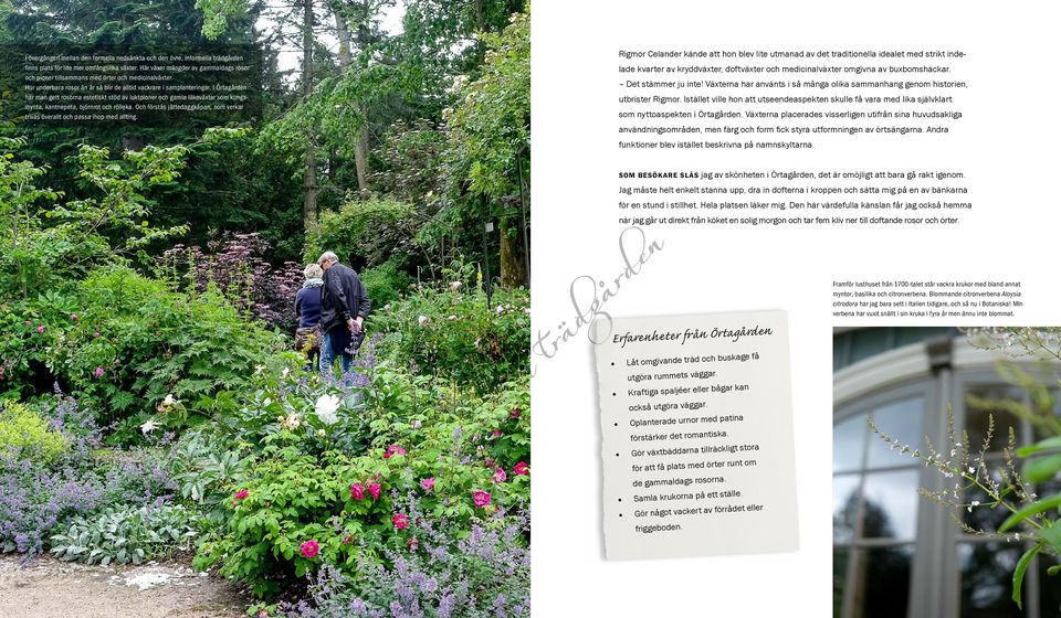 I Örtagården har man gett rosorna estetiskt stöd av luktpioner och gamla läkeväxter som kungsmynta, kantnepeta, björnrot och rölleka.