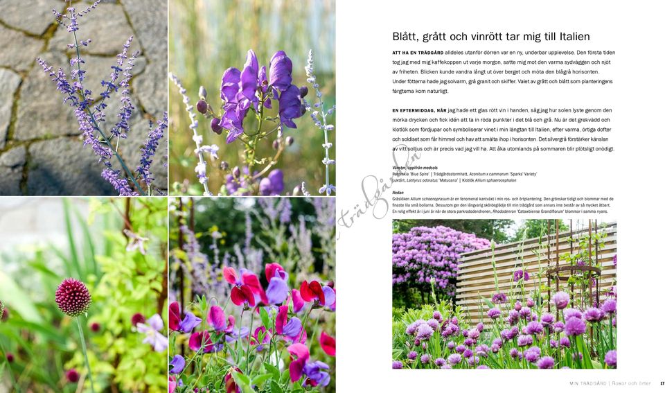 Under fötterna hade jag solvarm, grå granit och skiffer. Valet av grått och blått som planteringens färgtema kom naturligt.