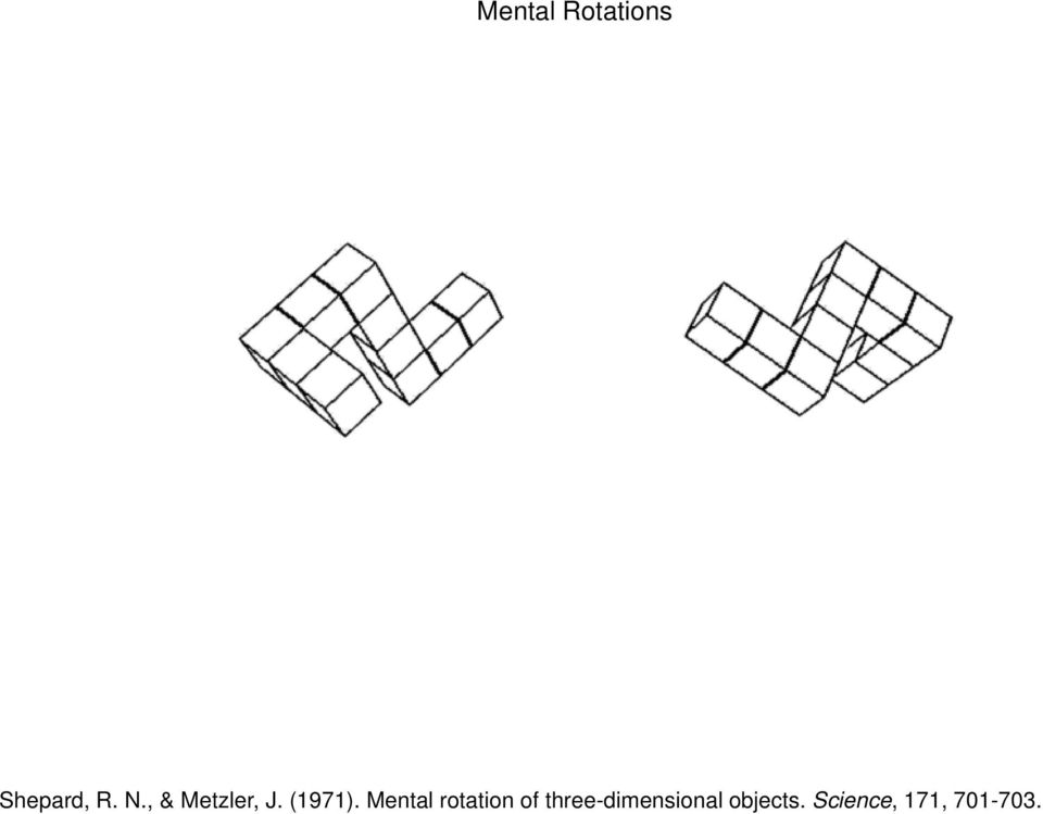 Mental rotation of