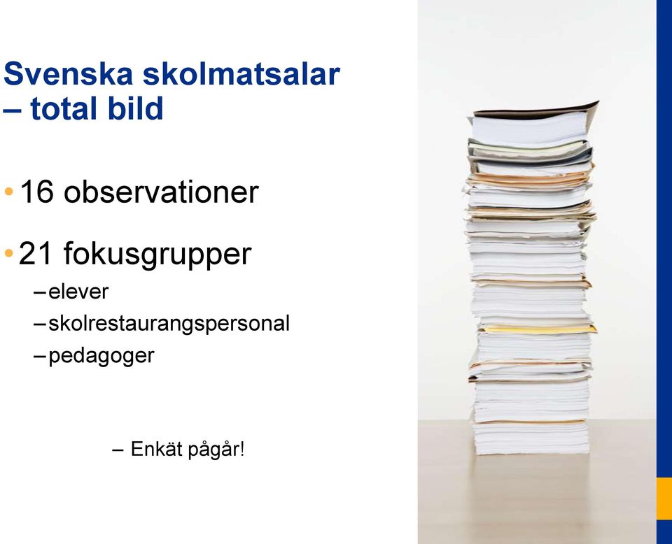 fokusgrupper elever