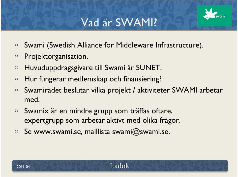 » Swamirådet beslutar vilka projekt / aktiviteter SWAMI arbetar med.