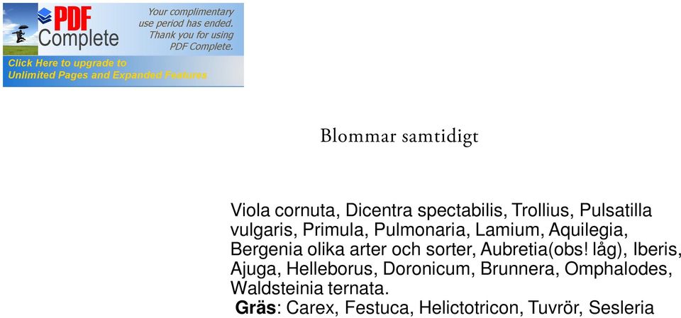 sorter, Aubretia(obs!