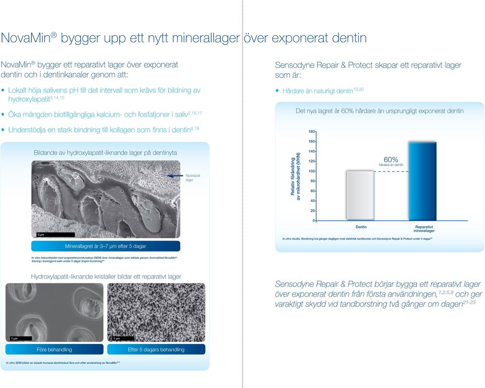 ett reparativt lager som är: Hårdare än naturligt dentin 19,20 Det nya lagret är 60% hårdare än ursprungligt exponerat dentin 180-160- Bildande av hydroxylapatit-liknande lager på dentinyta Nyskapat