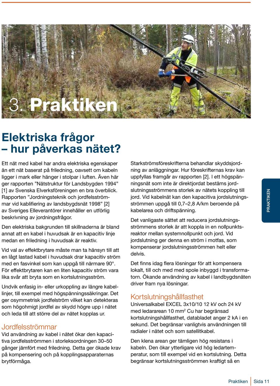 Rapporten Jordningsteknik och jordfelsströmmar vid kablifiering av landsbygdsnät 1998 [2] av Sveriges Elleverantörer innehåller en utförlig beskrivning av jordningsfrågor.
