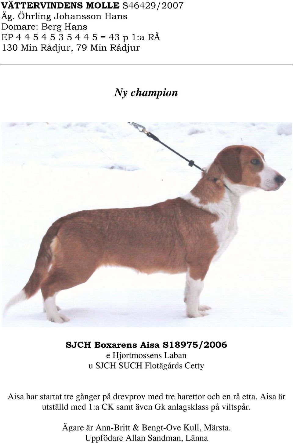 champion SJCH Boxarens Aisa S18975/2006 e Hjortmossens Laban u SJCH SUCH Flotägårds Cetty Aisa har startat tre