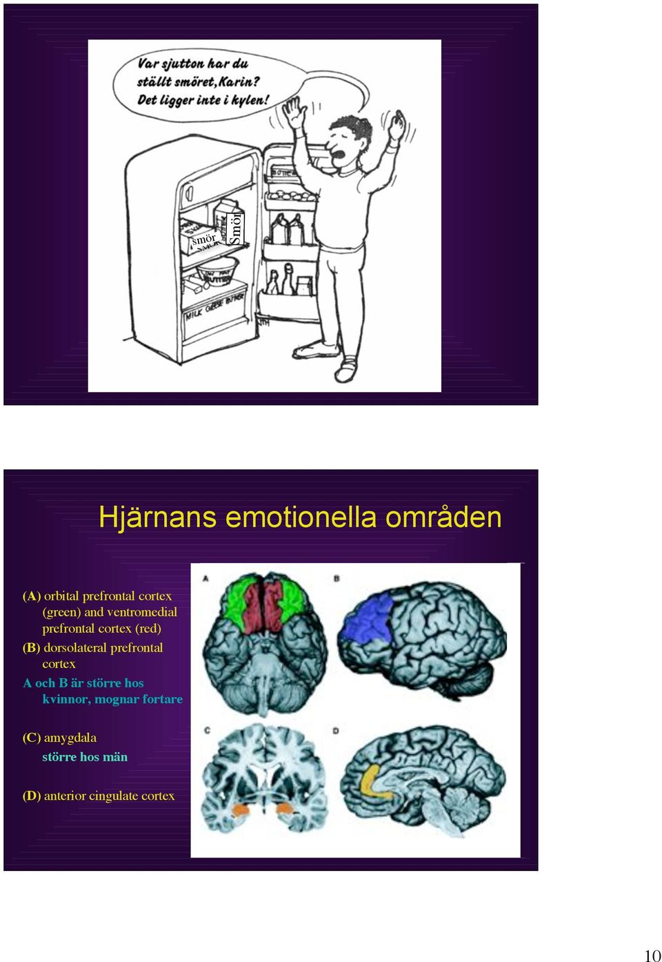 (red) (B) dorsolateral prefrontal cortex A och B är större hos