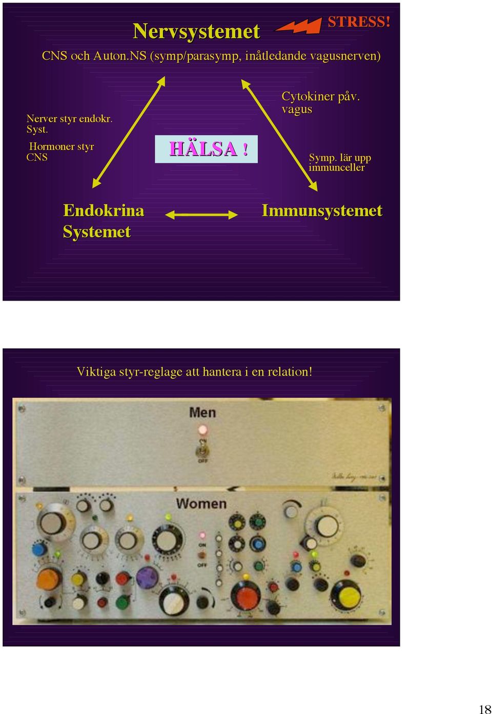 styr endokr. Syst. Hormoner styr CNS Endokrina Systemet HÄLSA!