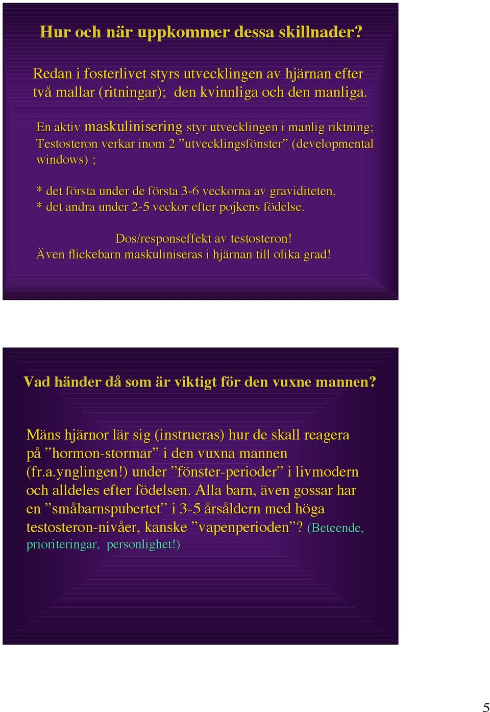 andra under 2-5 veckor efter pojkens födelse. Dos/responseffekt av testosteron! Även flickebarn maskuliniseras i hjärnan till olika grad! Vad händer då som är viktigt för den vuxne mannen?