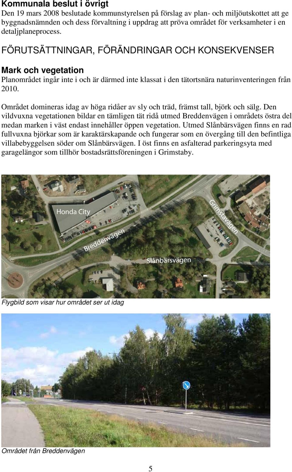 Området domineras idag av höga ridåer av sly och träd, främst tall, björk och sälg.